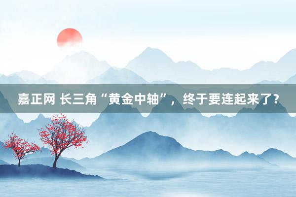 嘉正网 长三角“黄金中轴”，终于要连起来了？