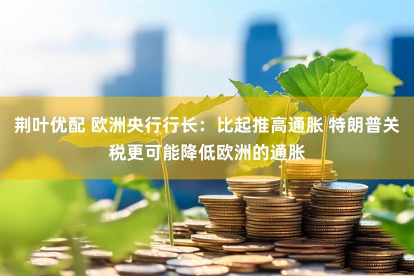 荆叶优配 欧洲央行行长：比起推高通胀 特朗普关税更可能降低欧洲的通胀