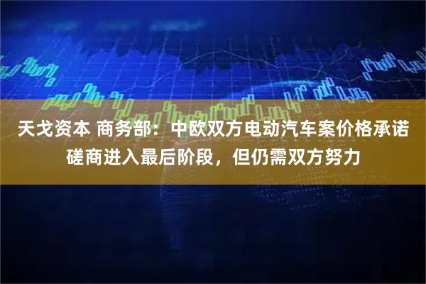 天戈资本 商务部：中欧双方电动汽车案价格承诺磋商进入最后阶段，但仍需双方努力
