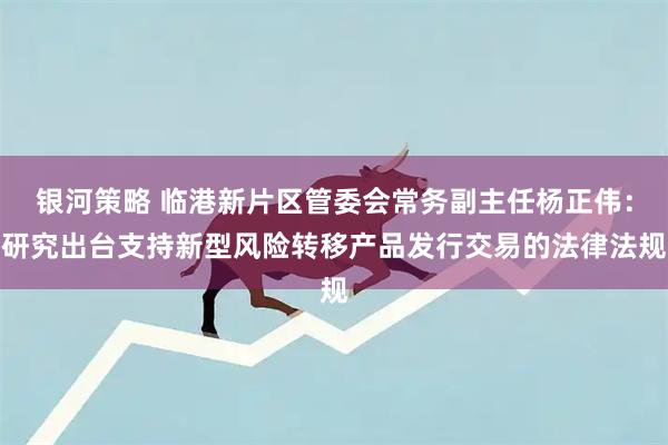 银河策略 临港新片区管委会常务副主任杨正伟：研究出台支持新型风险转移产品发行交易的法律法规