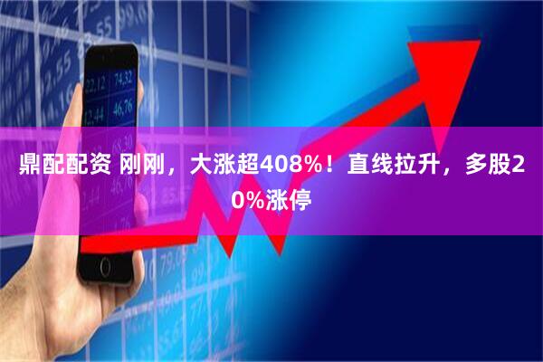 鼎配配资 刚刚，大涨超408%！直线拉升，多股20%涨停